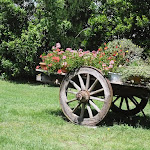 Photo n°1 de l'avis de Carlo.a fait le 29/05/2023 à 13:06 sur le  Agriturismo IL SELVELLO à Montemassi