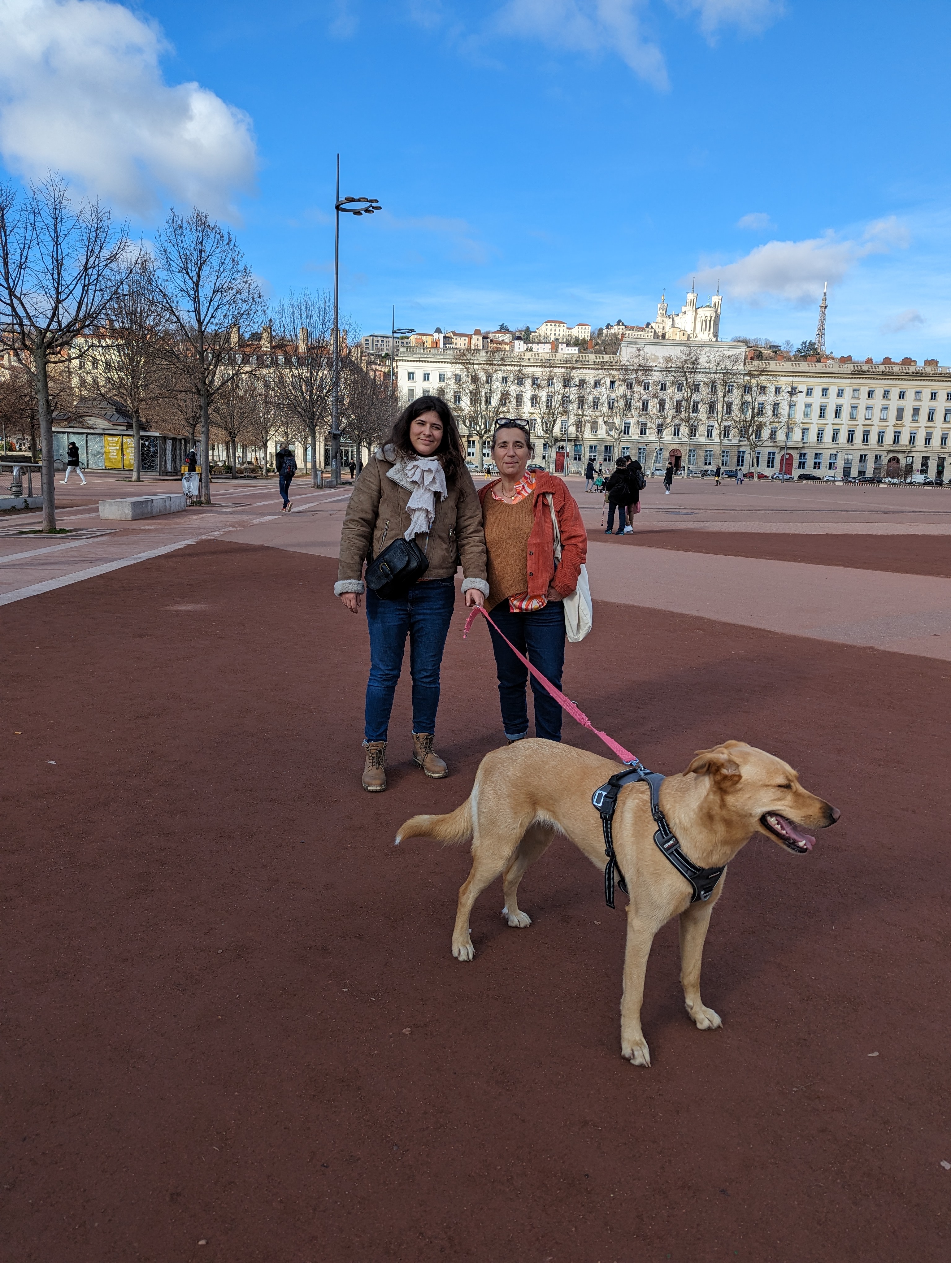 Photo n° 3 de l'avis de christophe.r fait le 02/02/2024 à 17:05