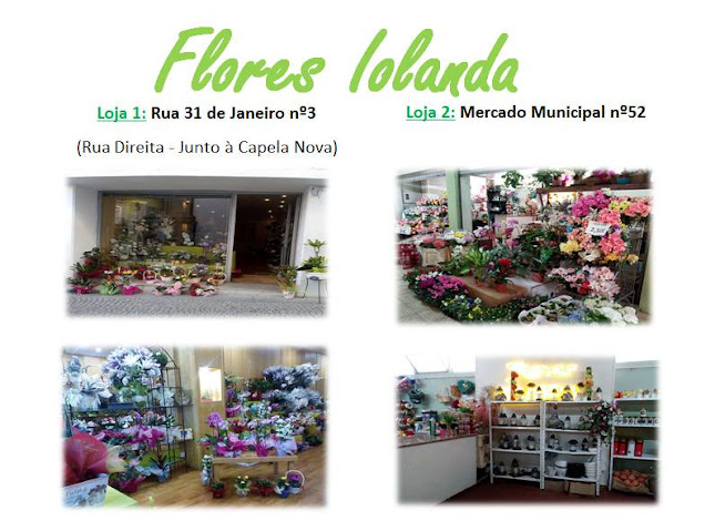 Avaliações doFlores Iolanda em Vila Real - Floricultura