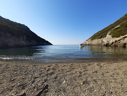 Photo de Vrysitsa beach avec un niveau de propreté de assez propre