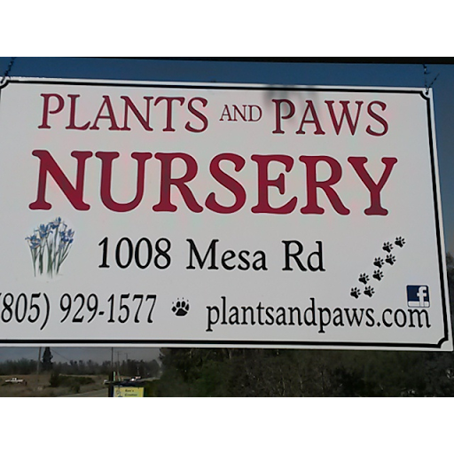 Plants and Paws Nursery - Cacti and Succulents
