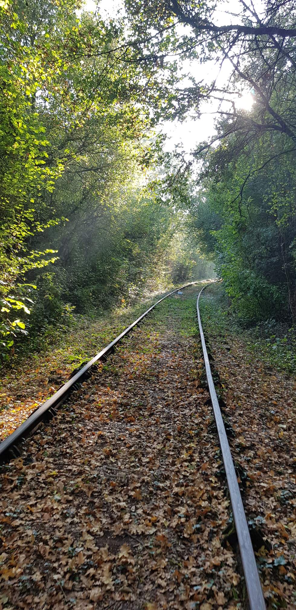 Photo n° 7 de l'avis de Alexandre.W fait le 21/10/2018 à 12:59