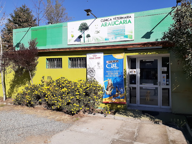 Opiniones de Veterinaria Araucaría en Rancagua - Veterinario