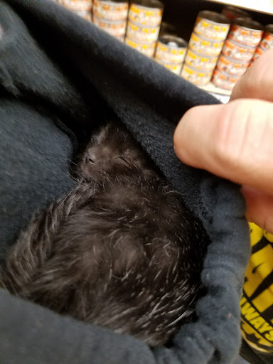 Pet Supply Store «Petco Animal Supplies», reviews and photos, 891 NE D St, Grants Pass, OR 97526, USA