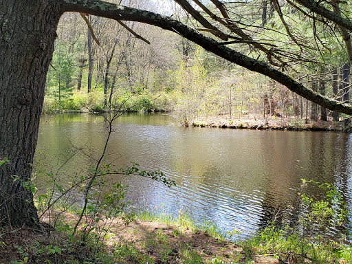 Museum «Dorflinger Glass Museum», reviews and photos, 37 Suydam Dr, White Mills, PA 18473, USA