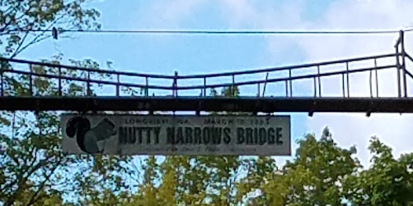 Nutty Narrows - Squirrel Bridges