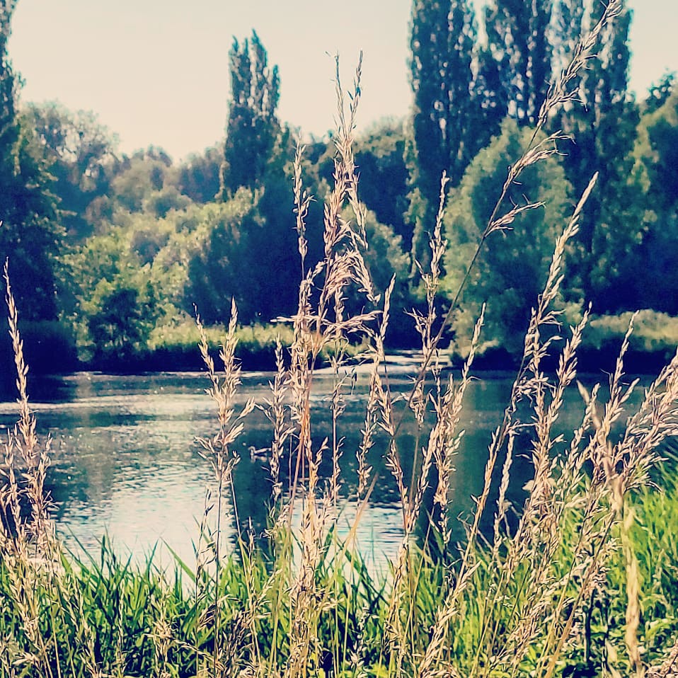 Photo n° 7 de l'avis de Bruno.l fait le 28/09/2021 à 19:23