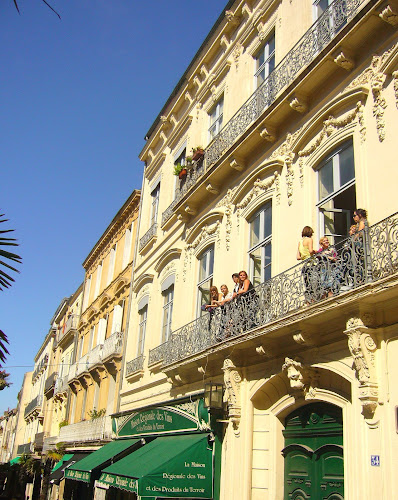 Institut Européen de Français à Montpellier