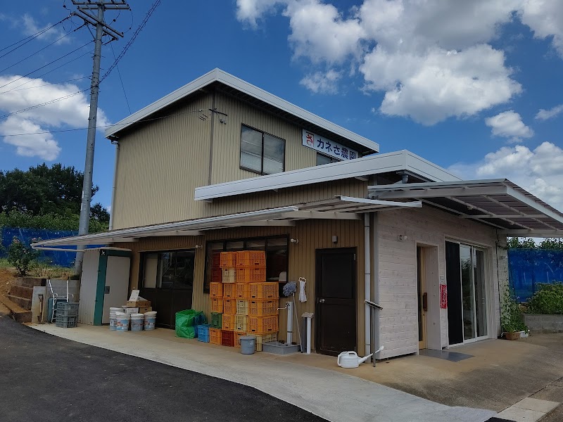 カネさ農園(梨・柿・キウイ)販売のみ(いちご狩りはしていません)