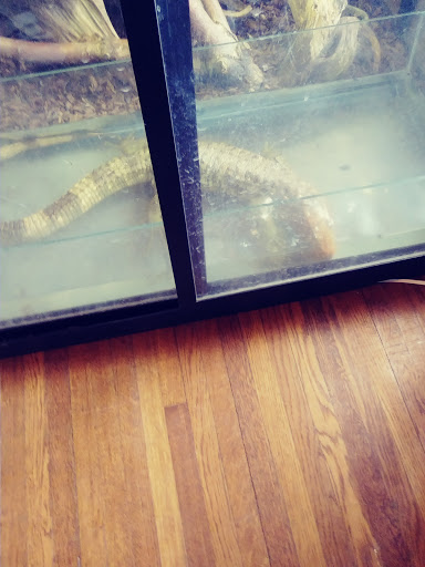 Reptile Store «Pets & Things», reviews and photos, 44825 Van Dyke, Utica, MI 48317, USA