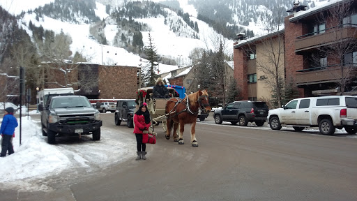 Grocery Store «City Market», reviews and photos, 711 E Cooper Ave, Aspen, CO 81611, USA