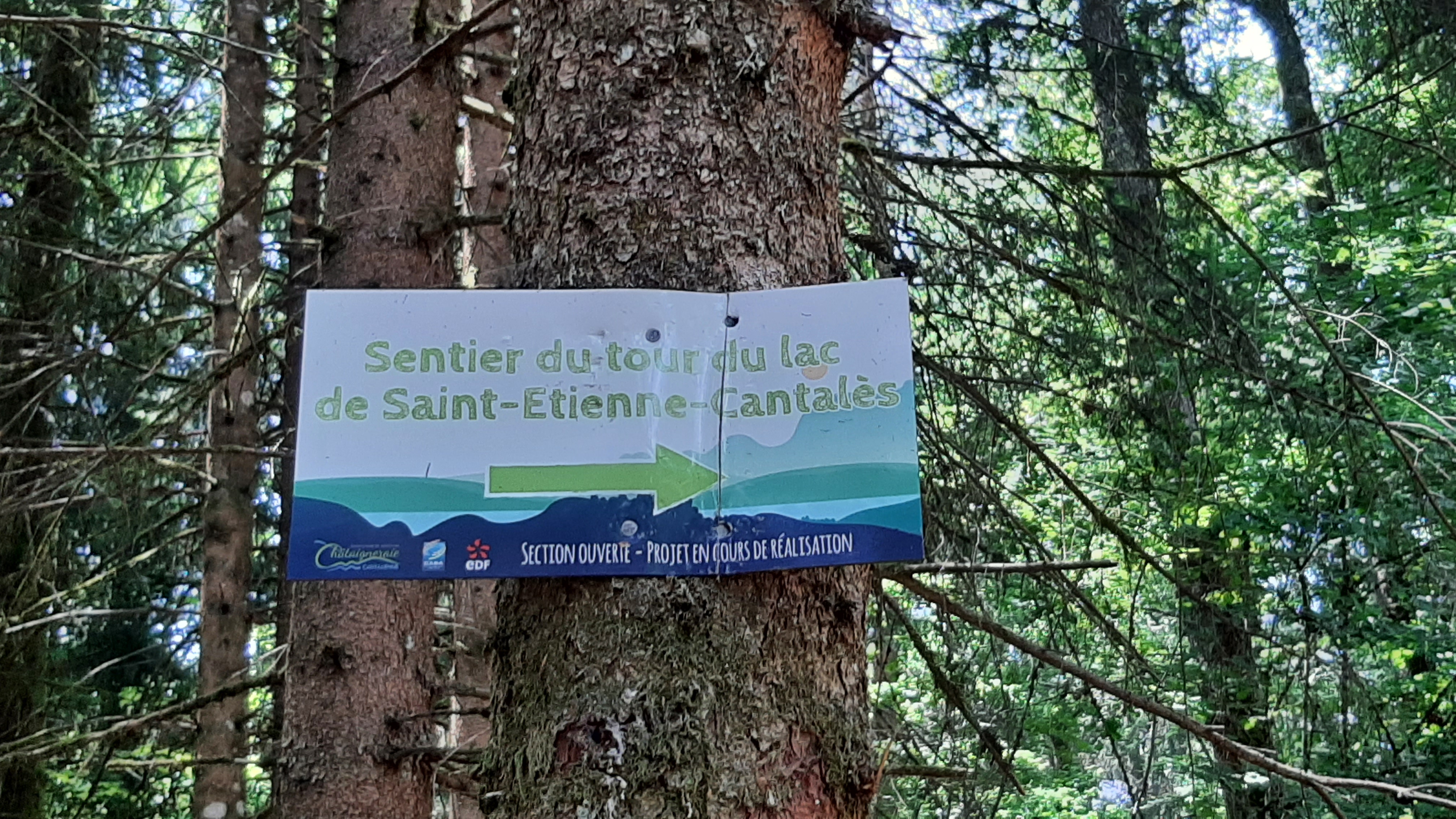Photo n° 19 de l'avis de Raymond.e fait le 15/06/2022 à 12:48