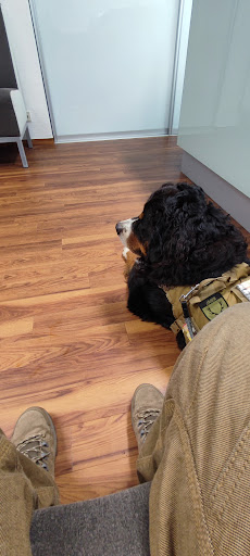Dr.med.vet. Reiner Troyke unter Witzenhausen, Hessen