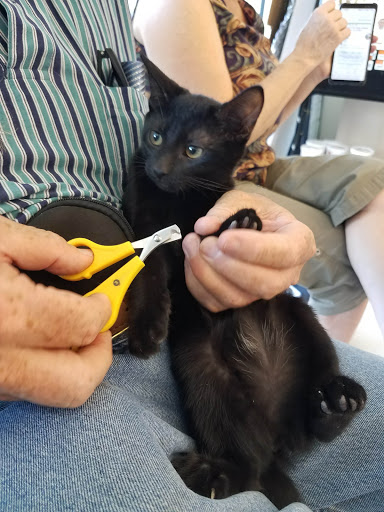 Pet Supply Store «Pet Supplies Plus», reviews and photos, 1258 Northlake Blvd, Lake Park, FL 33403, USA