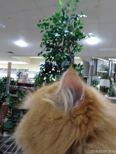 Department Store «HomeGoods», reviews and photos, 3320 NW 62nd Ave, Margate, FL 33063, USA