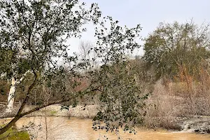 Coyote Creek Trail image