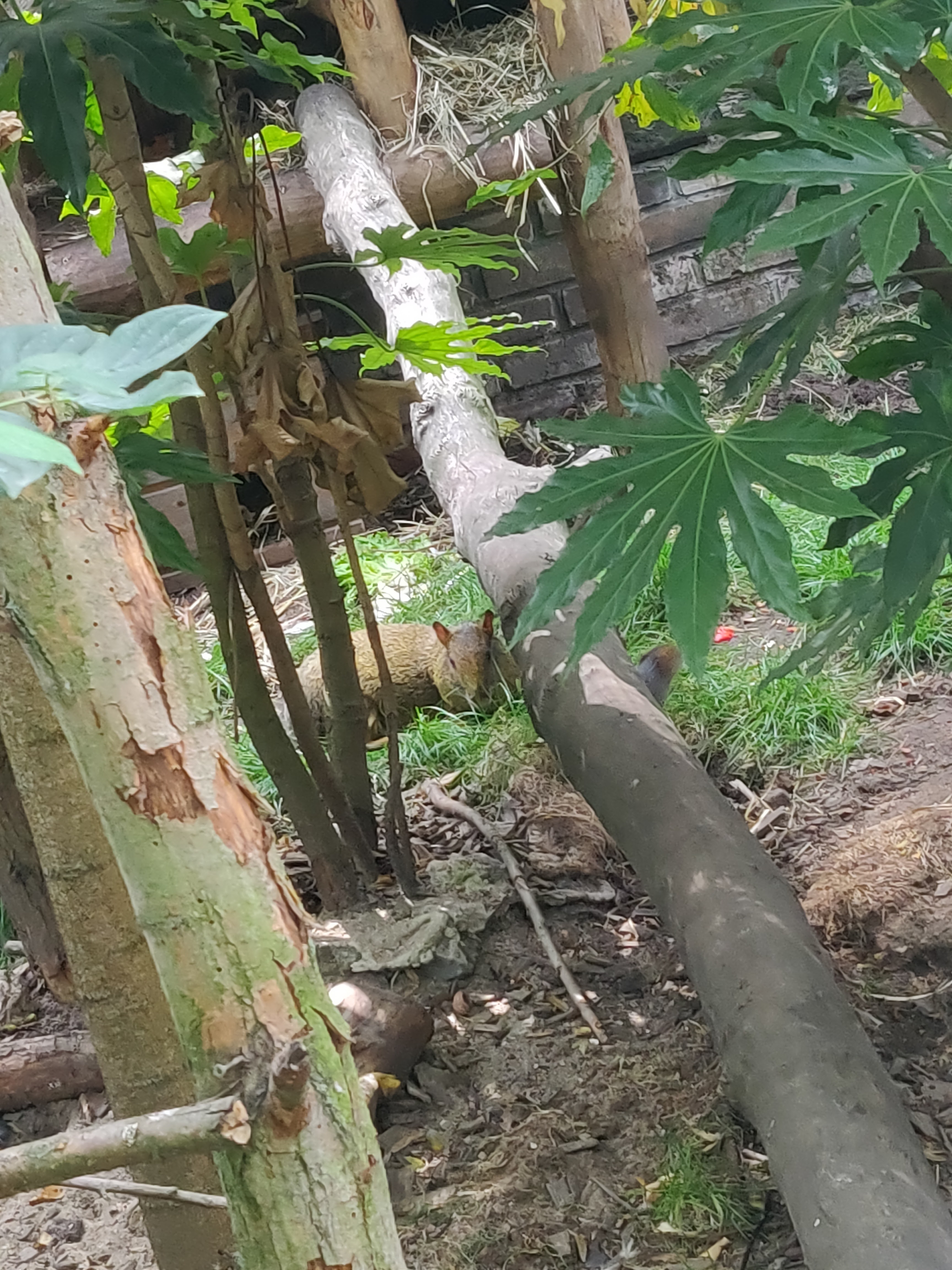 Photo n° 8 de l'avis de Amélie.e fait le 31/08/2019 à 17:39