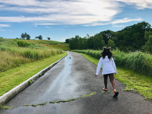 Park «Millennium Park», reviews and photos, 300 Gardner Street, West Roxbury, MA 02132, USA