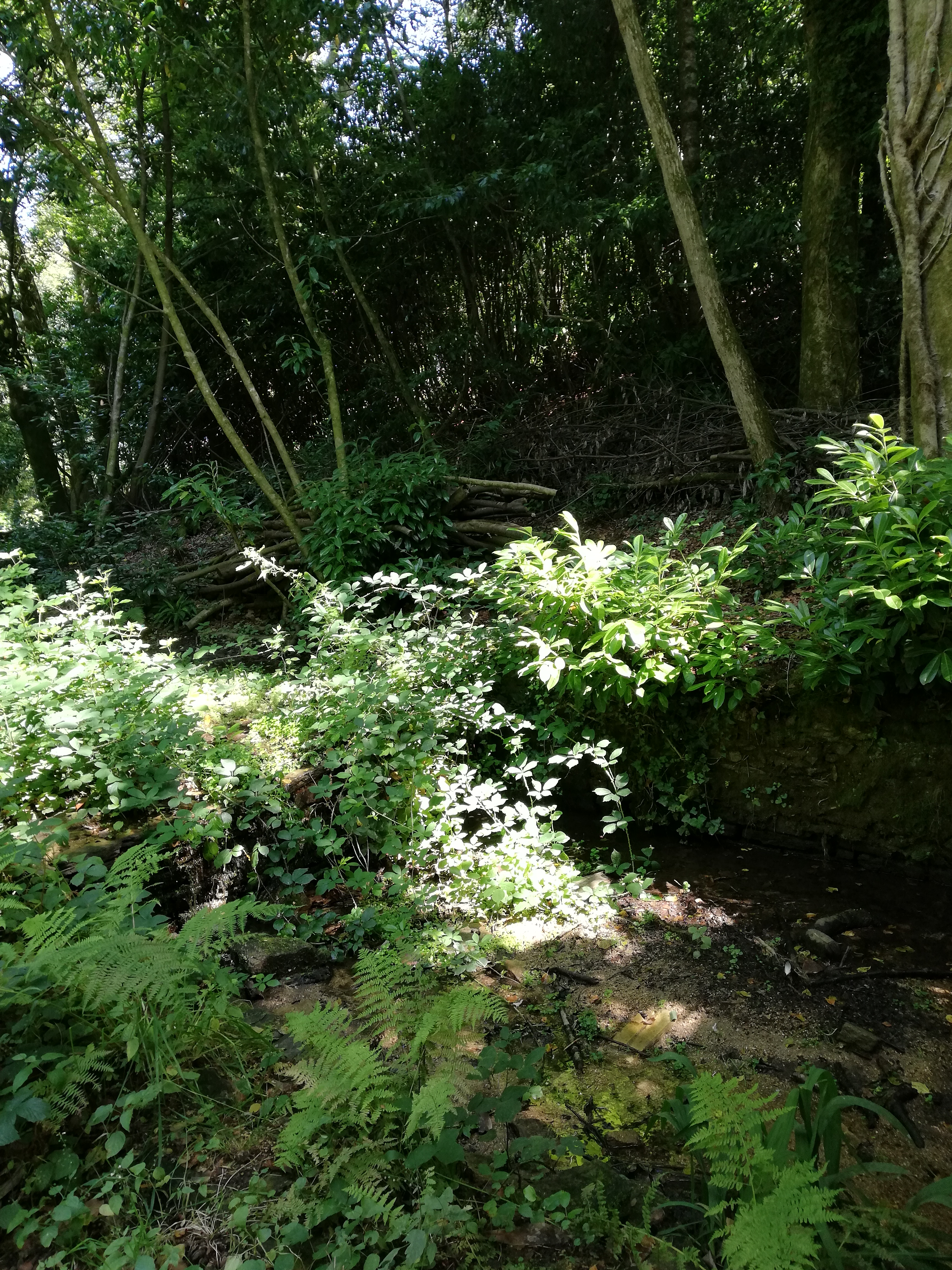 Photo n° 8 de l'avis de Celine.a fait le 17/10/2019 à 06:33