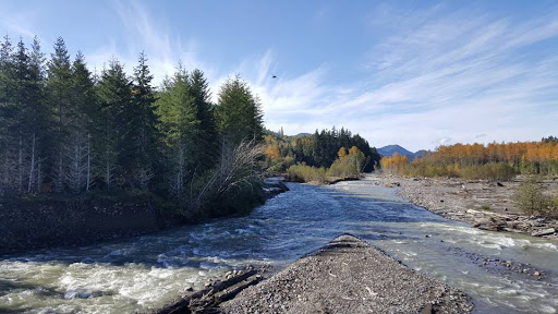 Tourist Attraction «Museum and Event Grounds for Mt. Rainier Railroad and Logging Museum», reviews and photos, 349 Mineral Creek Rd S, Mineral, WA 98355, USA