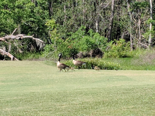 Public Golf Course «Jake Gaither Golf Course», reviews and photos, 913 Bob White Dr, Tallahassee, FL 32305, USA