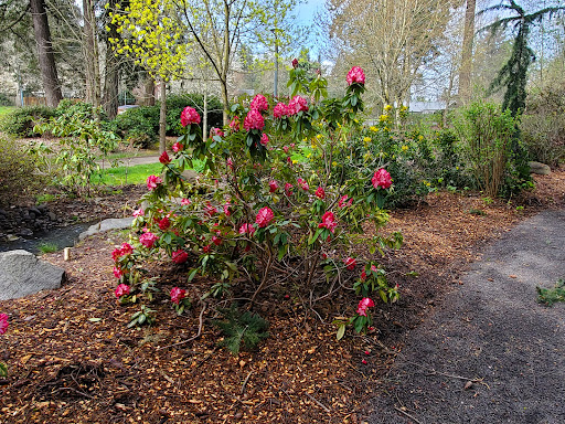 Park «Rood Bridge Park», reviews and photos, 4000 SE Rood Bridge Rd, Hillsboro, OR 97123, USA