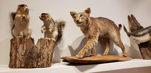 Museum «Coastal Discovery Museum», reviews and photos, 70 Honey Horn Dr, Hilton Head Island, SC 29926, USA