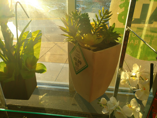 Craft Store «Michaels», reviews and photos, 20902 Frederick Rd, Germantown, MD 20876, USA