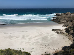 Banky Beach'in fotoğrafı vahşi alan