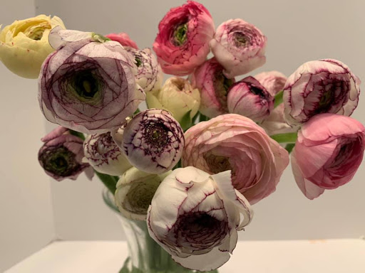 Florist «Trillium», reviews and photos, 41 Rittenhouse Pl, Ardmore, PA 19003, USA