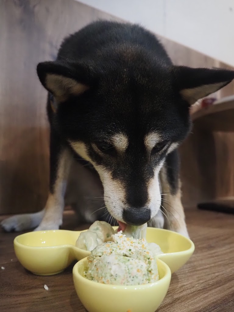 DogKong港式寵物餐廳|寵物友善|港式小吃 的照片