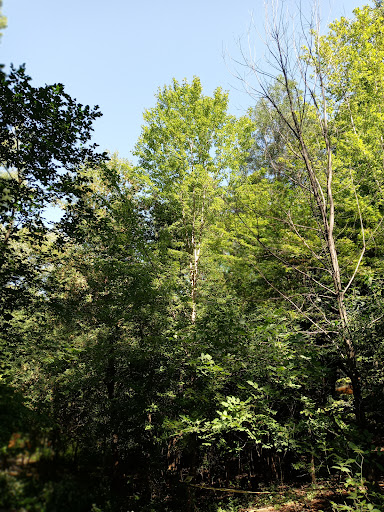 Nature Preserve «Westwood Hills Nature Center», reviews and photos, 8300 W Franklin Ave, St Louis Park, MN 55426, USA