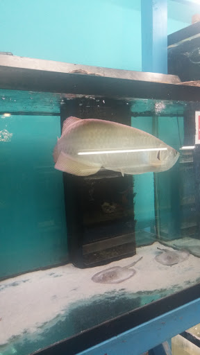 Shopping Mall «Cromwell Field Shopping Center», reviews and photos, 7383 Baltimore Annapolis Blvd, Glen Burnie, MD 21061, USA