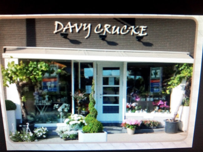 Davy Crucke