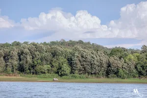 Harangi Backwaters image