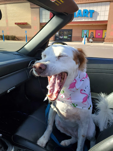 Pet Supply Store «PetSmart», reviews and photos, 11200 Prairie Lakes Dr, Eden Prairie, MN 55344, USA