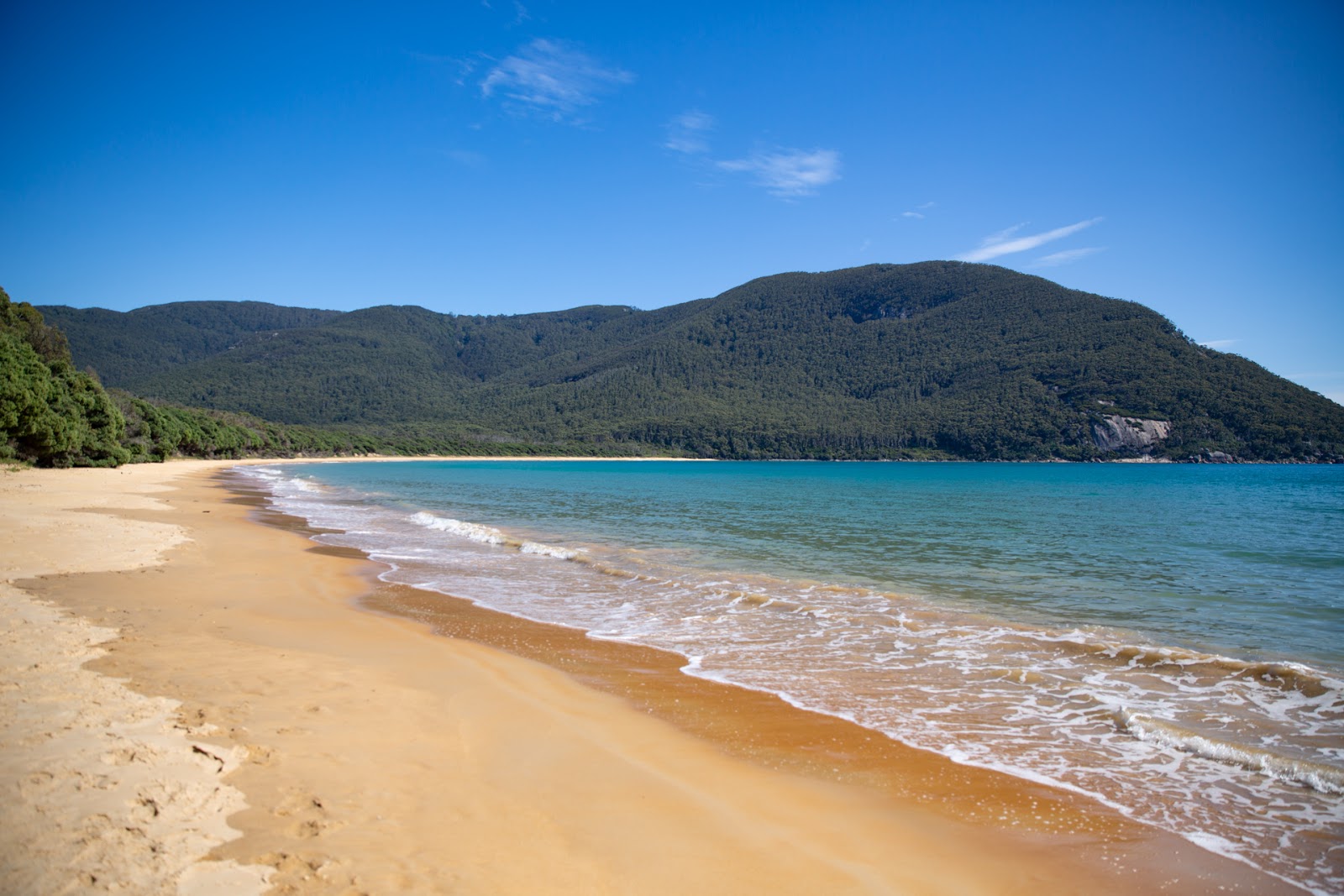 Foto di Sealers Cove Beach con una superficie del sabbia beige