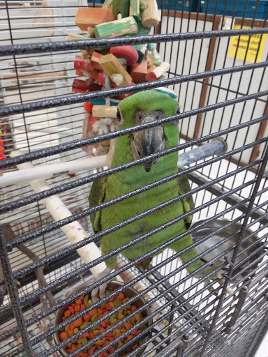 Pet Store «Pet World Warehouse Outlet», reviews and photos, 2148 W Beltline Hwy, Madison, WI 53713, USA