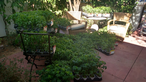 Southwestern Restaurant (US) «El Chorro», reviews and photos, 5550 E Lincoln Dr, Paradise Valley, AZ 85253, USA