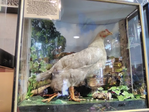 Supermarket «Pacific Market», reviews and photos, 9605 Evergreen Way b, Everett, WA 98204, USA