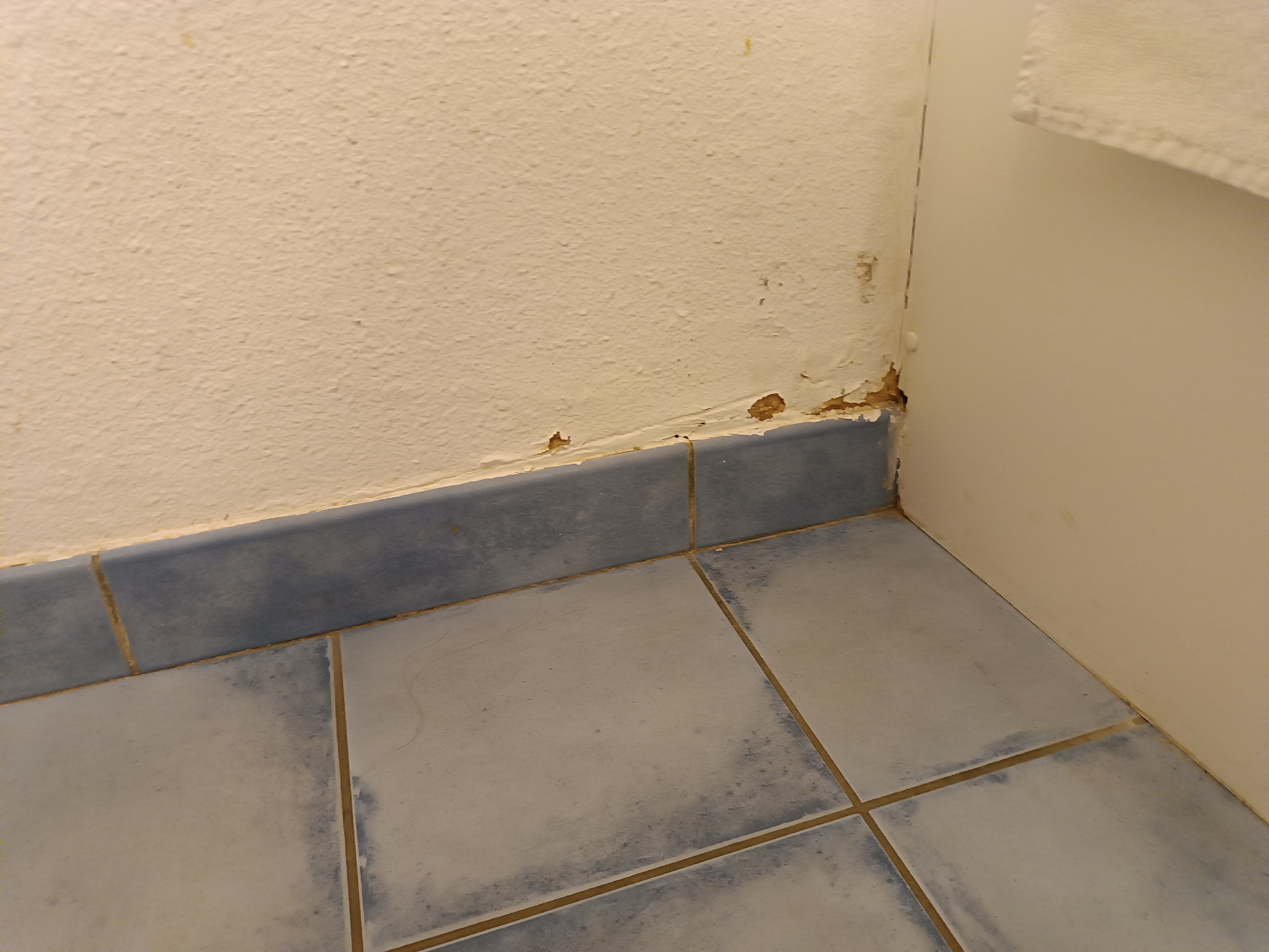 Photo n° 2 de l'avis de Jean.a fait le 31/10/2023 à 12:56