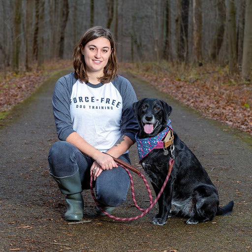 Canine Companion, LLC- dog trainer Abbie Volpone