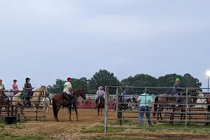 Cavvietta Quarter Horse & Cattle Co., LLC image
