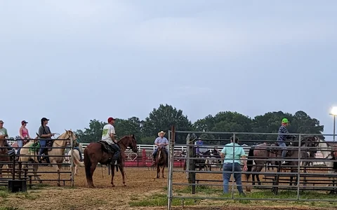 Cavvietta Quarter Horse & Cattle Co., LLC image