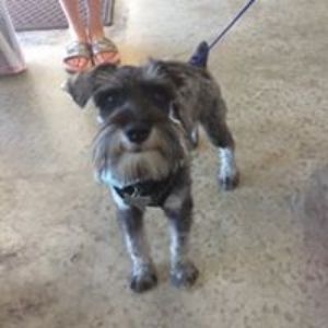 Pet Supply Store «All Pet & Equine Supply», reviews and photos, 1120 Porter Wagoner Blvd, West Plains, MO 65775, USA