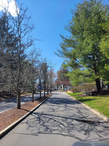 Law Firm «Rosenblum Law Firm», reviews and photos