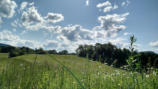 Golf Club «Ballyhack Golf Club», reviews and photos, 3609 Pitzer Rd, Roanoke, VA 24014, USA