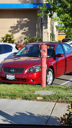 Hayward Honda image