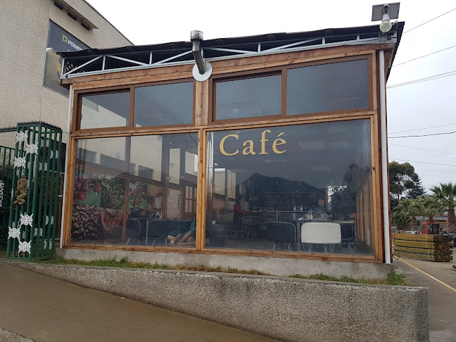 Arbol De Cafe