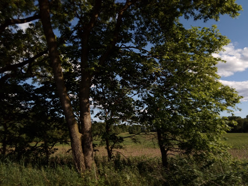 Golf Club «Crestview Golf Club», reviews and photos, 900 D Ave W, Kalamazoo, MI 49009, USA